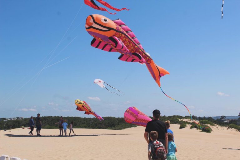 Discover Free & Low-Cost Things to Do in the Outer Banks