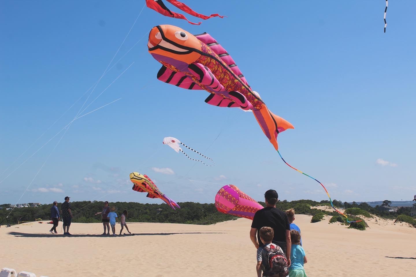 Discover Free & Low-Cost Things to Do in the Outer Banks