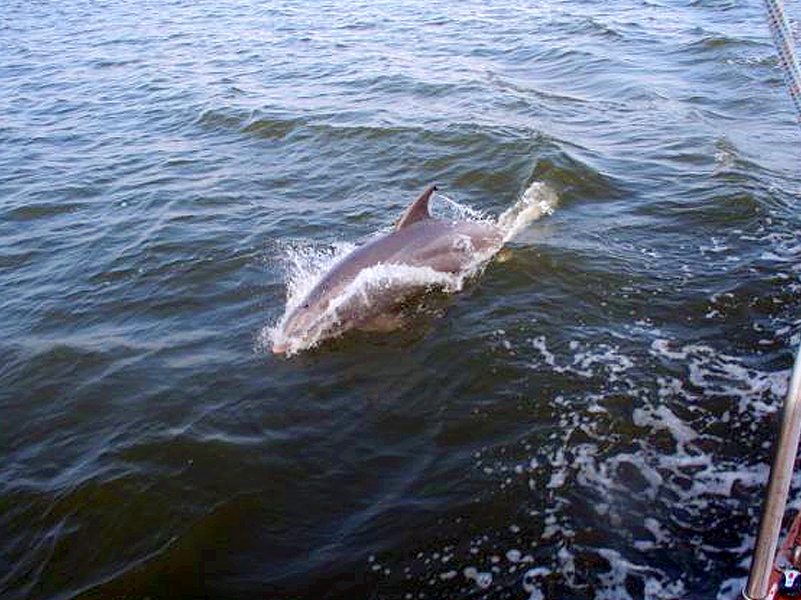 Sailing-Outer-Banks121