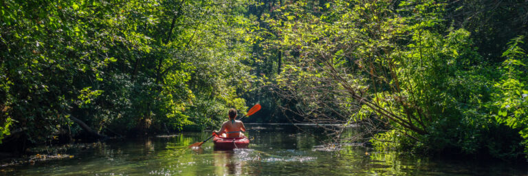 Alligator River Kayak Tour