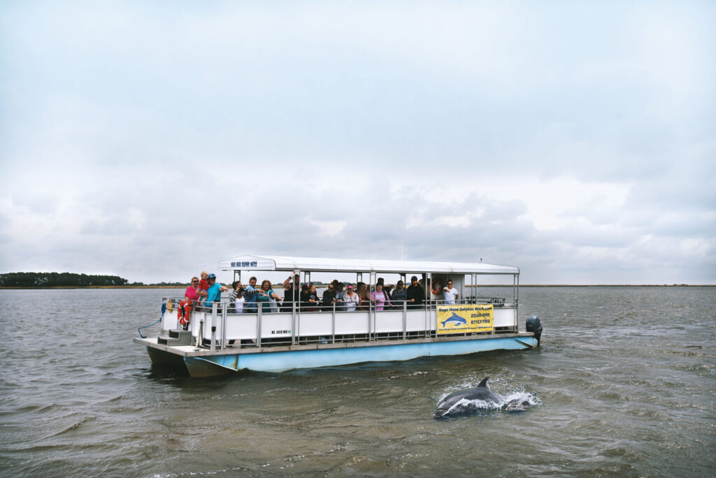 A dolphin tour boat carries passengers on calm water near a dolphin surfacing beside it.