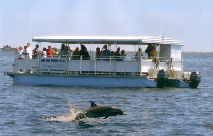 Dolphin Tour: Nags Head Phoenix
