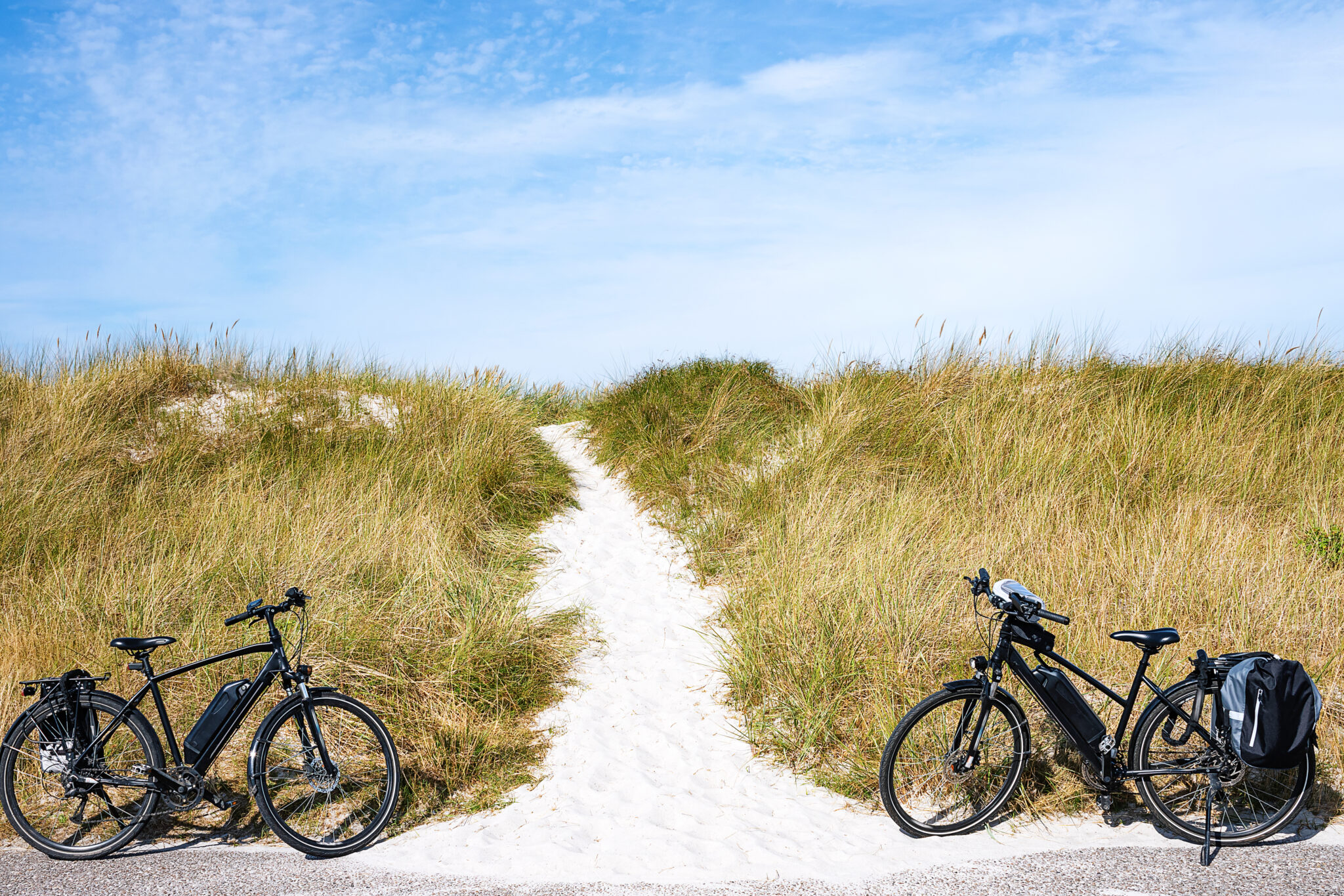 Electric Bike Rentals