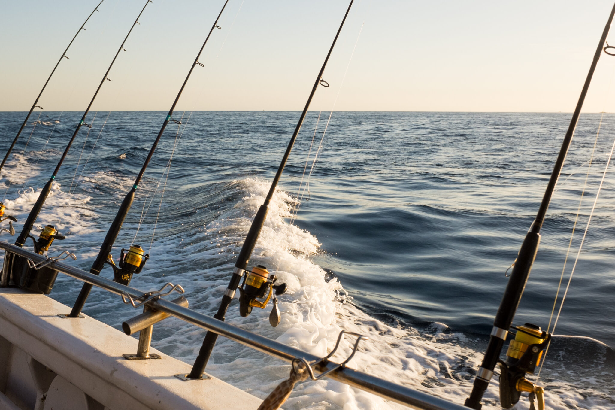Fishing Charters