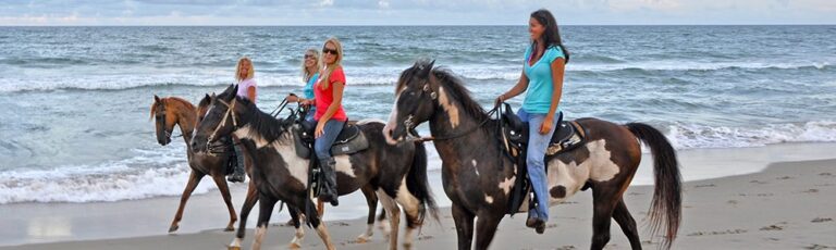 Hatteras Beach Horseback Riding Tours