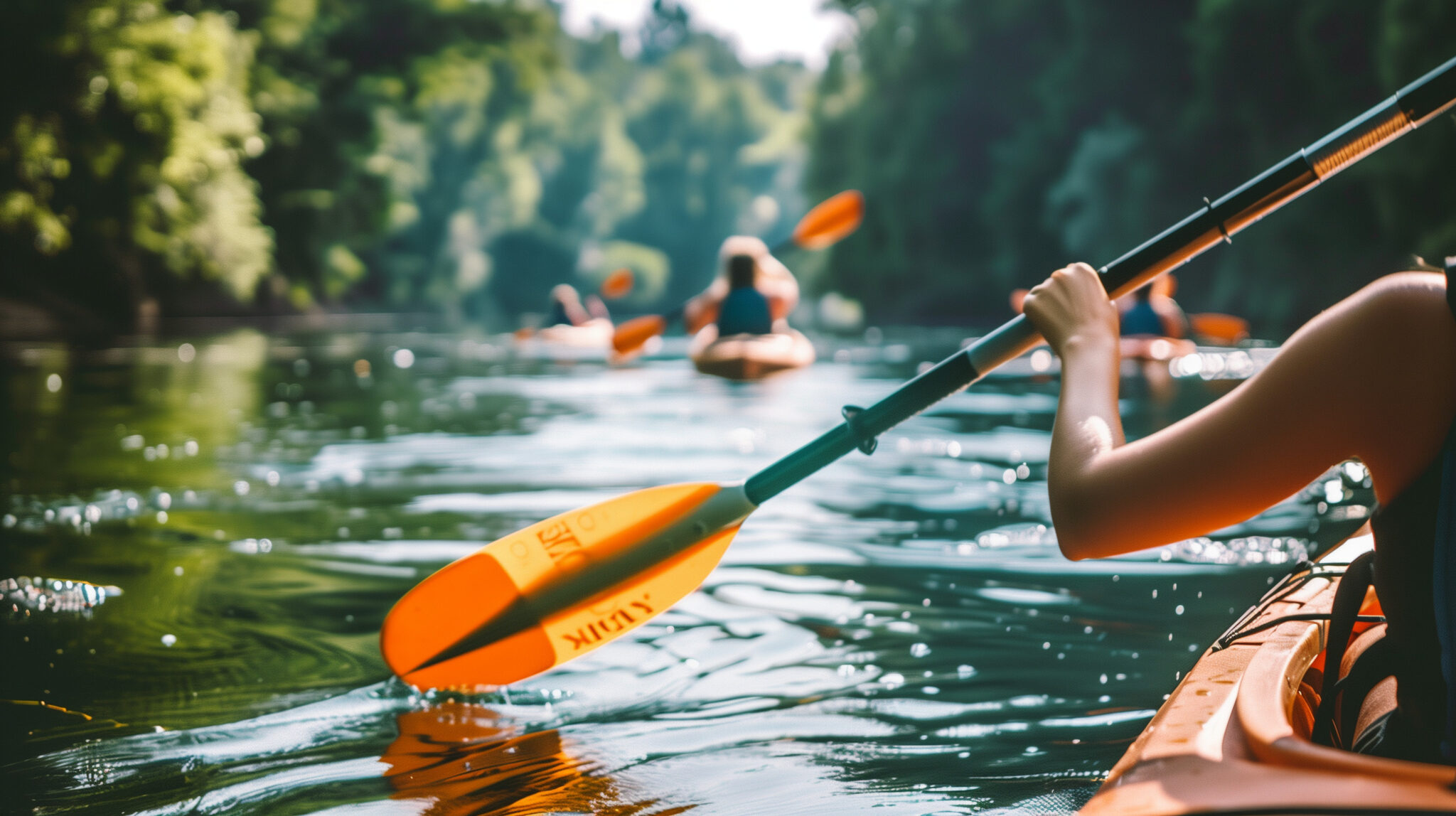 Kayak Tours