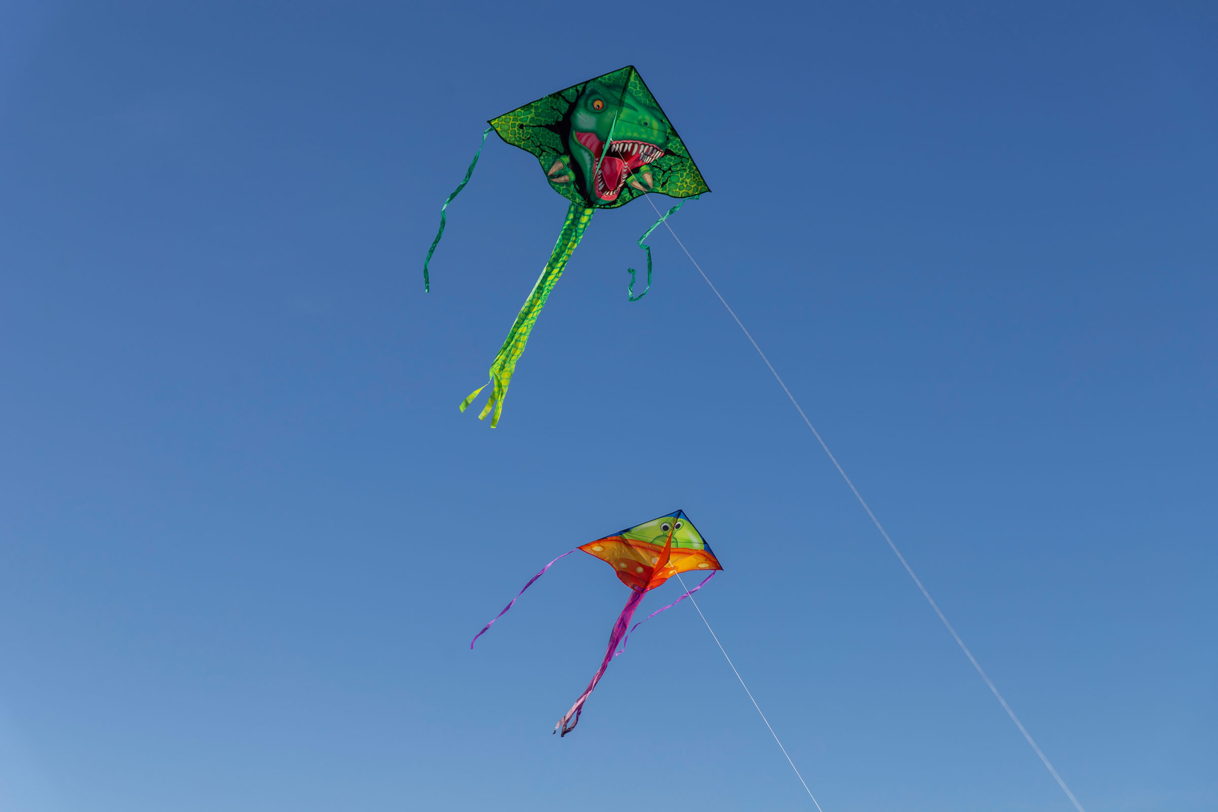 Two colorful kites fly against a clear blue sky.