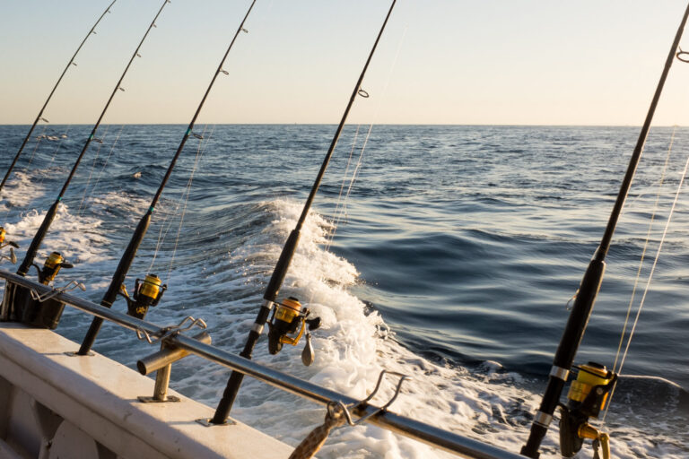 Nearshore – Carolina Blue Fishing Charter
