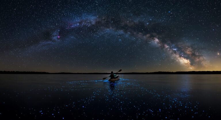 Night Time Kayak Tours