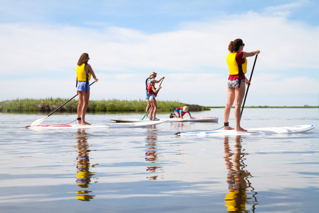 A group of people stand on stand-up paddleboards on calm water near marsh grass.