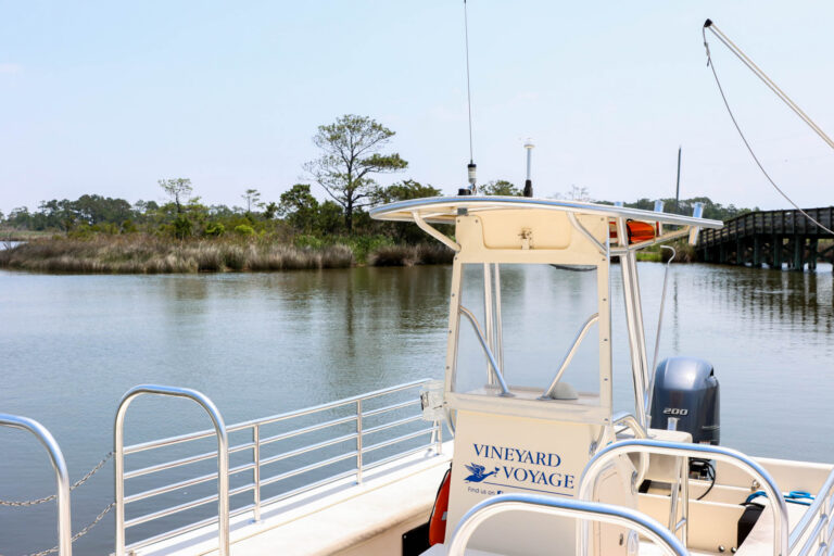 Sunset Boat Cruises & Vineyard Voyage